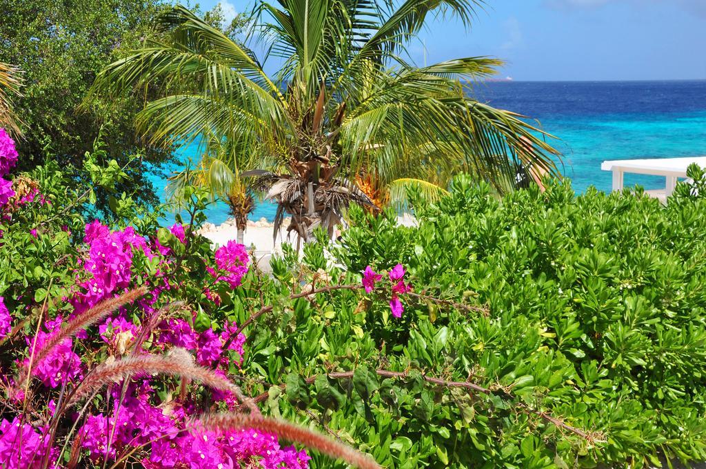 Hilltop Sea View , Boca Gentil Willemstad Exteriör bild